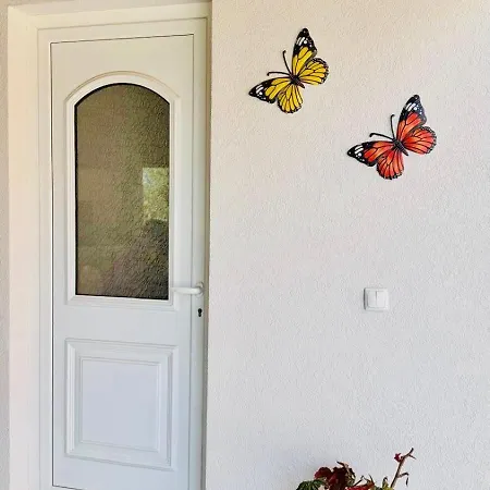 Casa Anita Mirandela